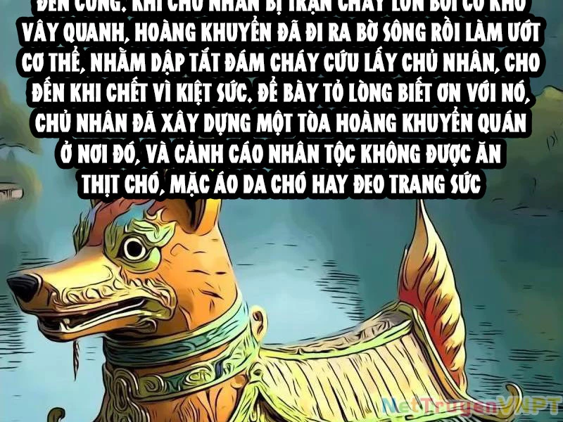 Đấu Yếm Thần Chapter 372 - Trang 2