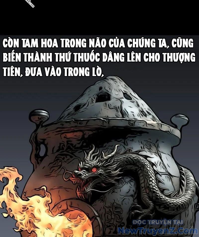 Đấu Yếm Thần Chapter 381 - Trang 2