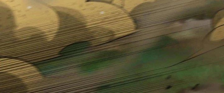 Dũng Sĩ Nấm Chapter 16 - Trang 2