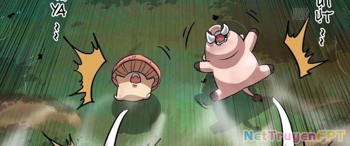 Dũng Sĩ Nấm Chapter 16 - Trang 2