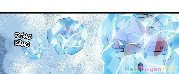 Dũng Sĩ Nấm Chapter 27 - Trang 2