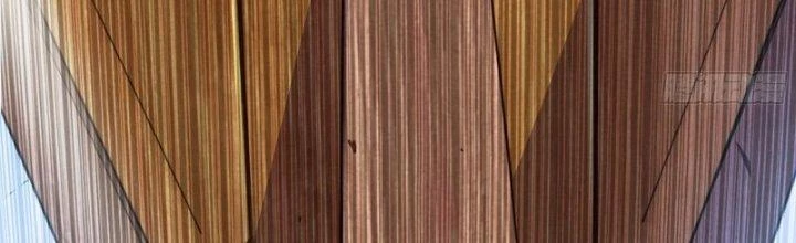 Dũng Sĩ Nấm Chapter 28 - Trang 2