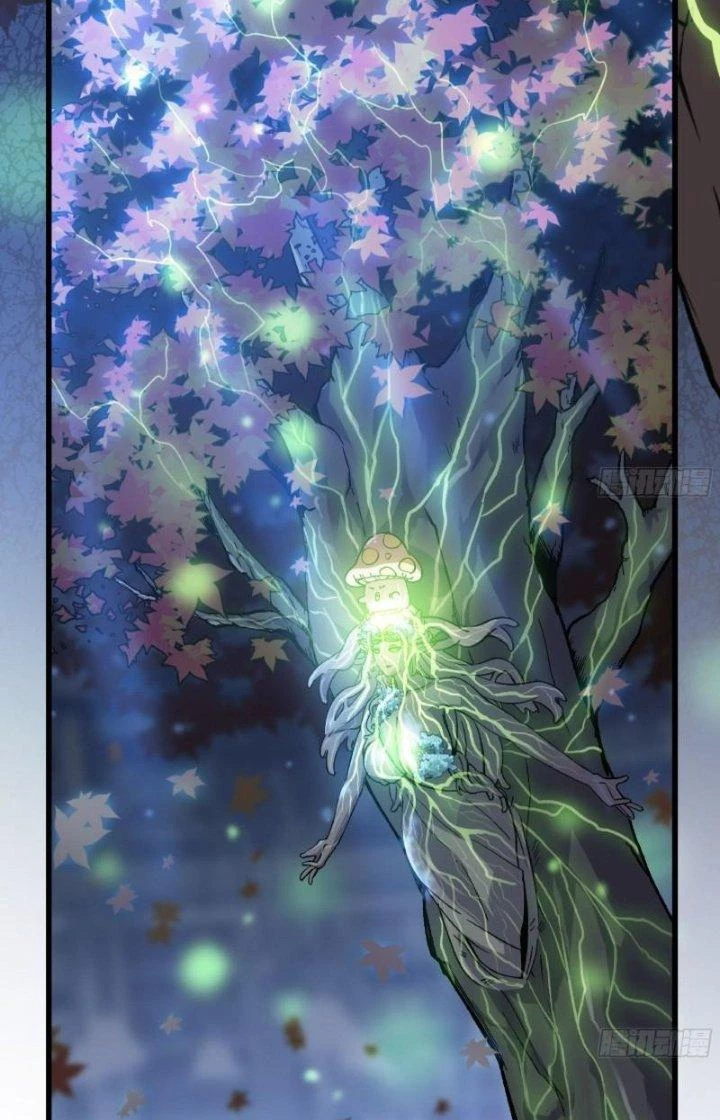 Dũng Sĩ Nấm Chapter 52 - Trang 2