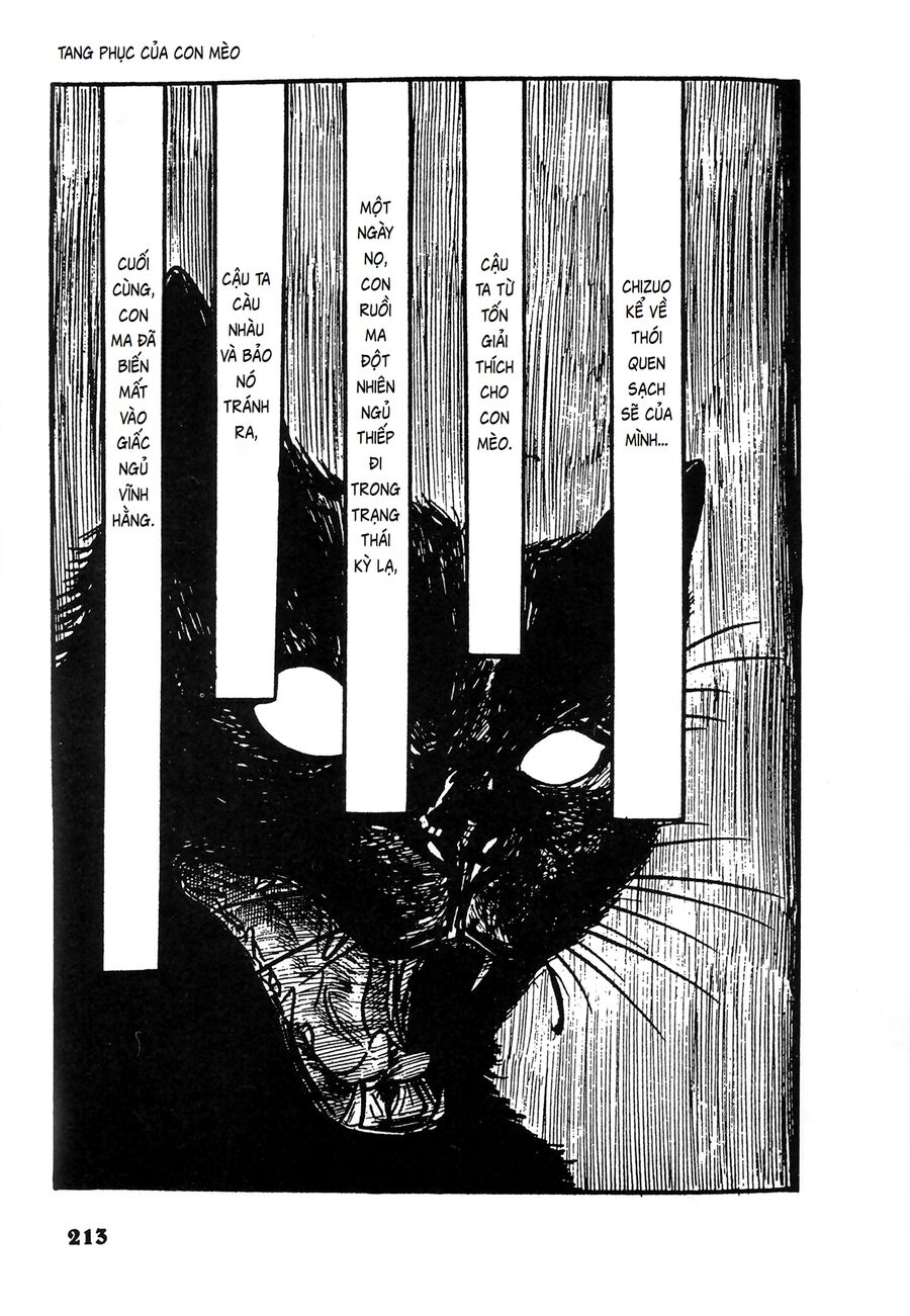 Người Hóa Đồng Hồ Chapter 13 - Trang 2