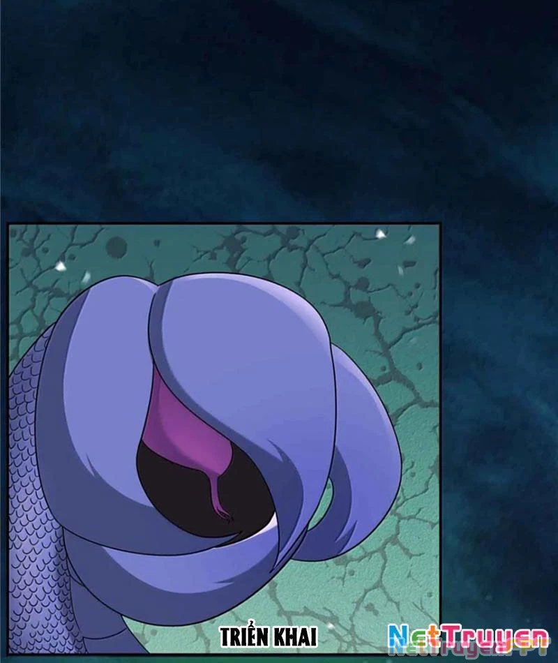 Tân Sủng Mị Chapter 70 - Trang 2
