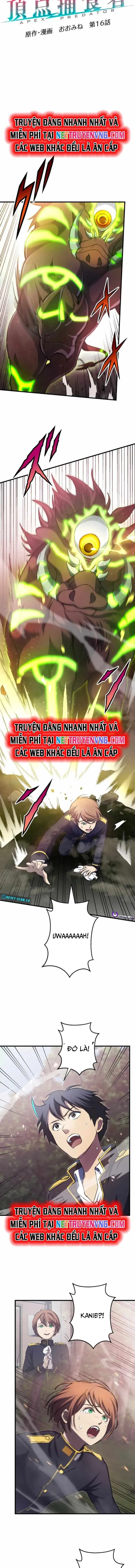 Quật Khởi Từ Tầng Đáy Chapter 16 - Trang 2