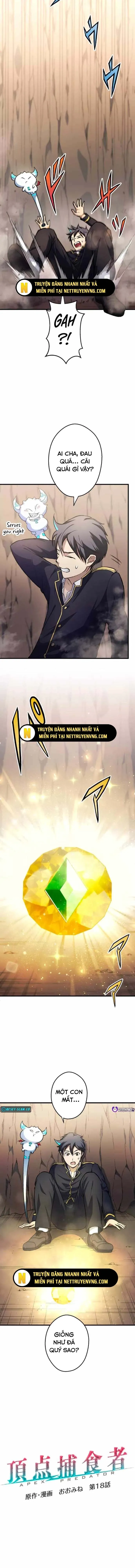 Quật Khởi Từ Tầng Đáy Chapter 18 - Trang 2