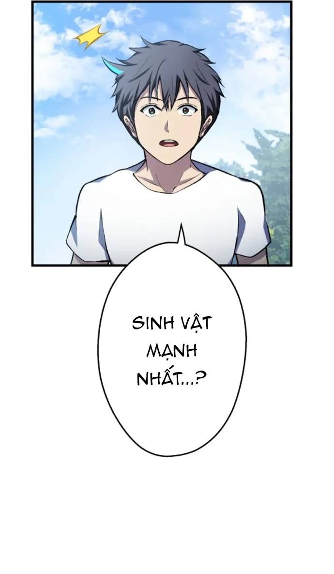 Quật Khởi Từ Tầng Đáy Chapter 31 - Trang 2