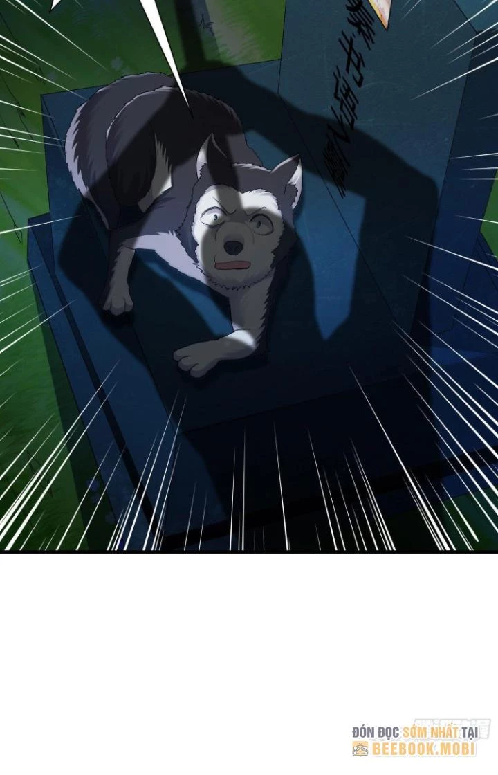 Tiểu Đệ Của Ta Là Yêu Vương Chapter 45 - Trang 2