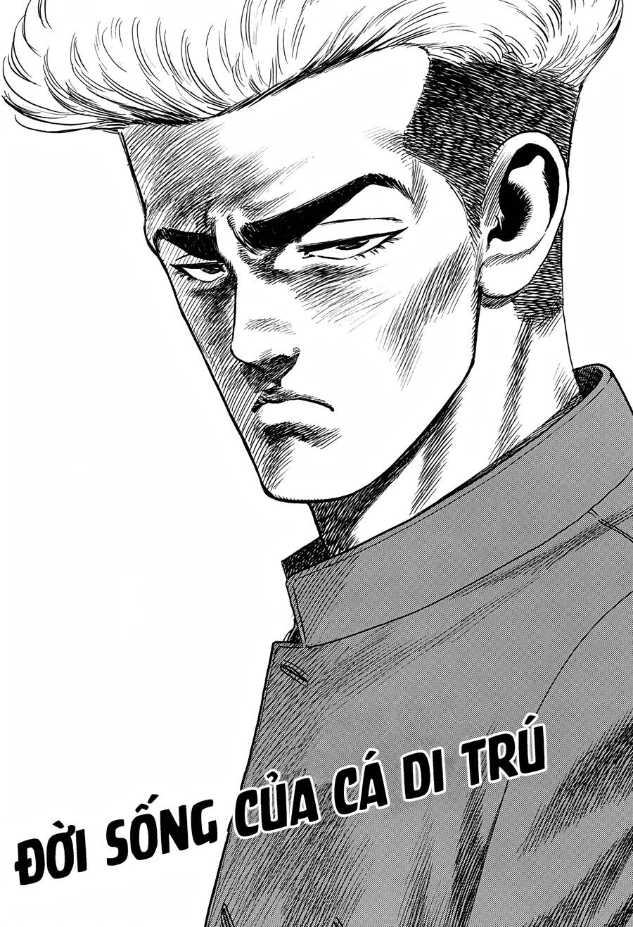 Bản Blues Vô Giá Trị Chapter 261 - Trang 2