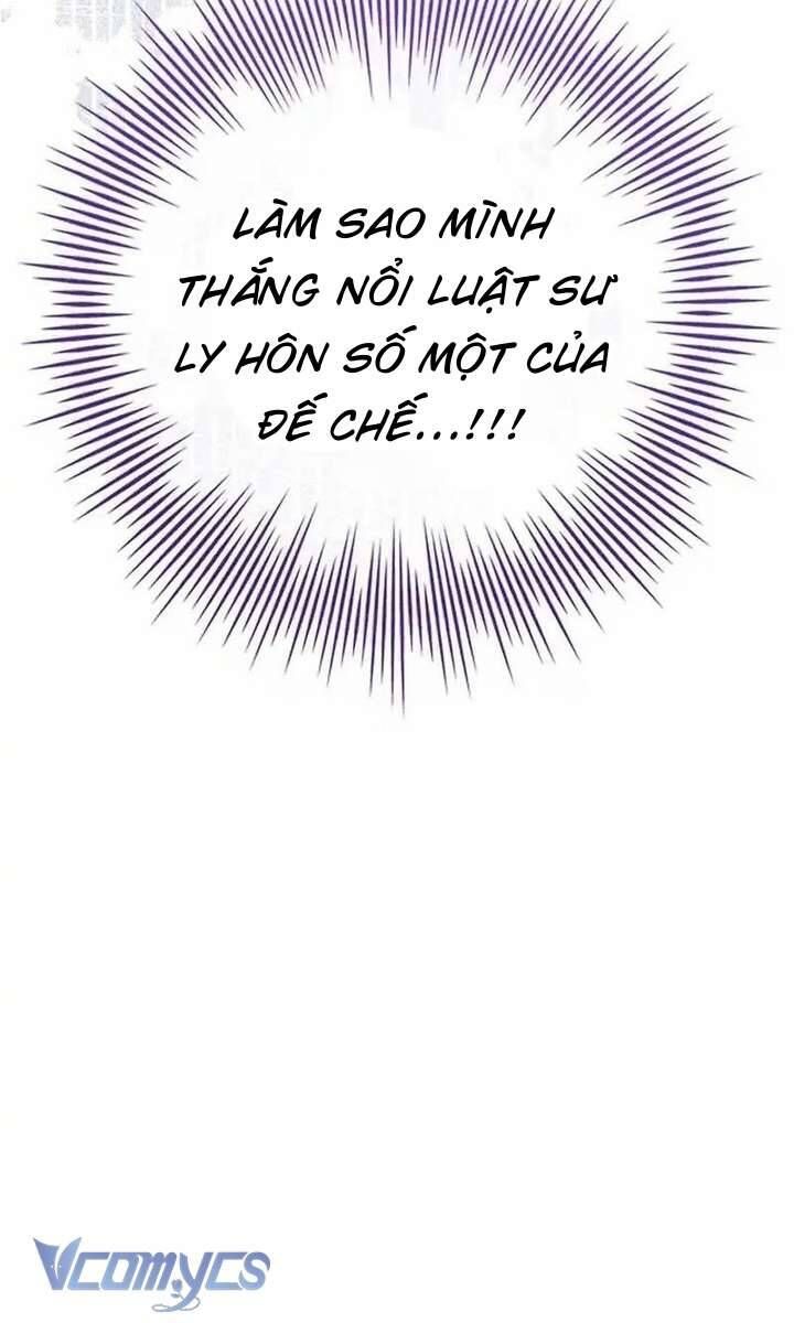 Hãy Để Luật Sư Chuyên Nghiệp Lo Chuyện Ly Hôn Chapter 1 - Trang 2