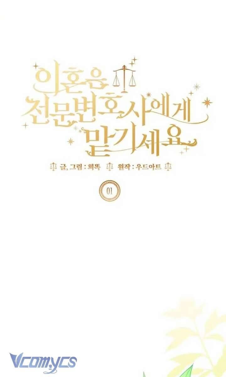Hãy Để Luật Sư Chuyên Nghiệp Lo Chuyện Ly Hôn Chapter 1 - Trang 2