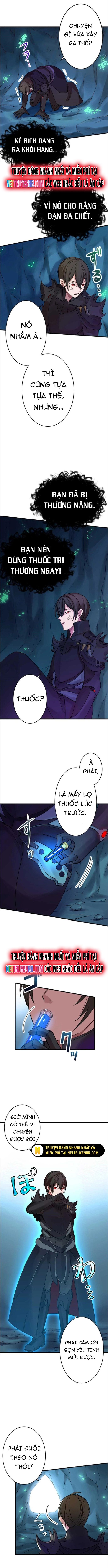 Hấp Thụ Cấp Độ Chapter 10 - Trang 2