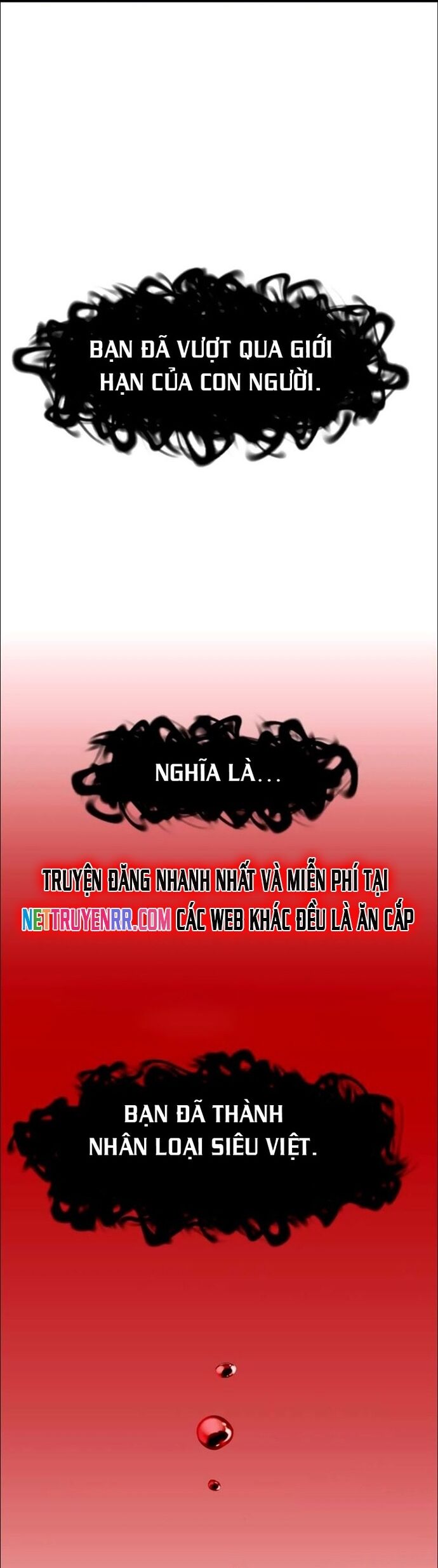 Hấp Thụ Cấp Độ Chapter 19 - Trang 2