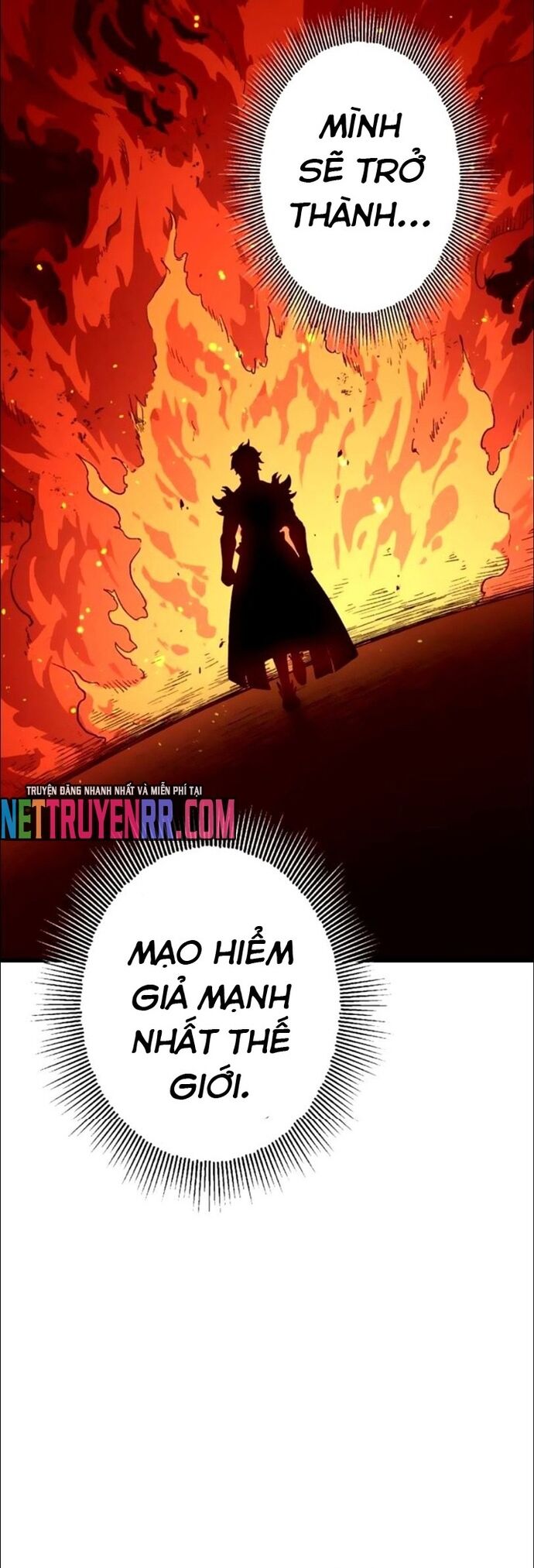 Hấp Thụ Cấp Độ Chapter 20 - Trang 2