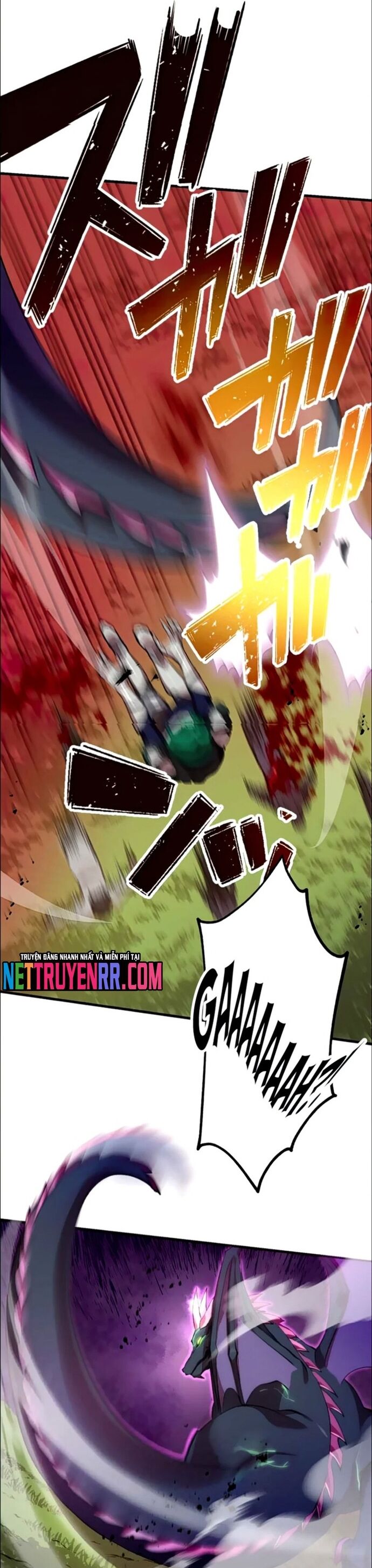 Hấp Thụ Cấp Độ Chapter 22 - Trang 2