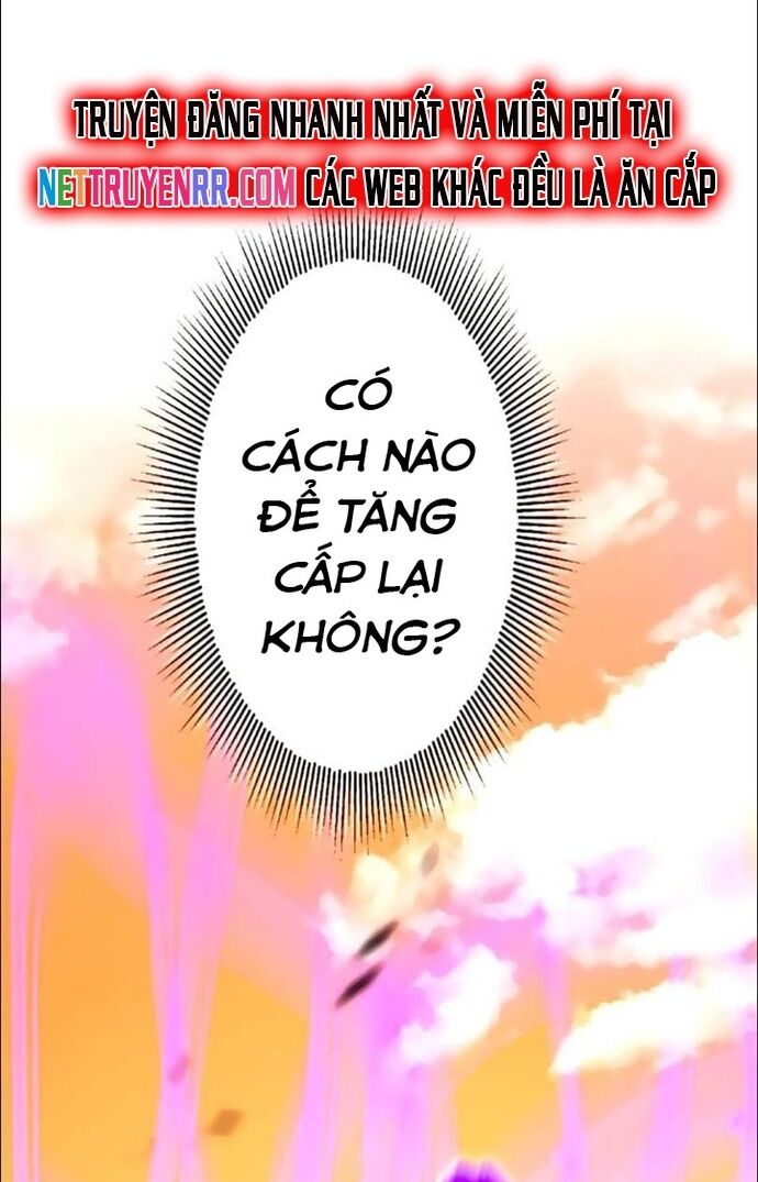Hấp Thụ Cấp Độ Chapter 23 - Trang 2