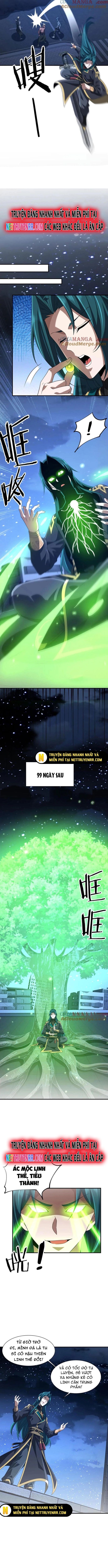 Trùng Sinh Ma Tu:Bắt Đầu Từ Việc Nhặt Được Một Viên Tinh Cầu Zombie Chapter 30 - Trang 2