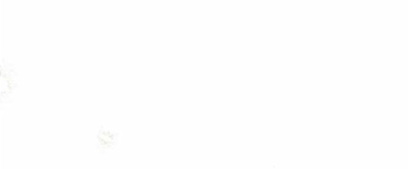 Trở Thành Quỷ Vương Level 999 Chapter 57 - Trang 2