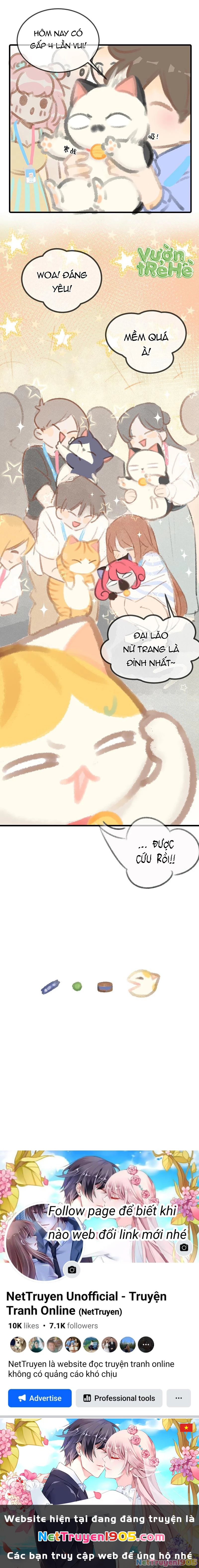 Lục Lạc Mèo Chapter 6 - Trang 2