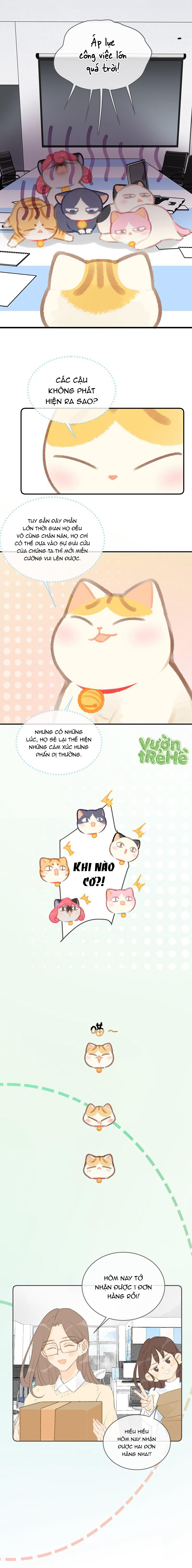 Lục Lạc Mèo Chapter 20 - Trang 2