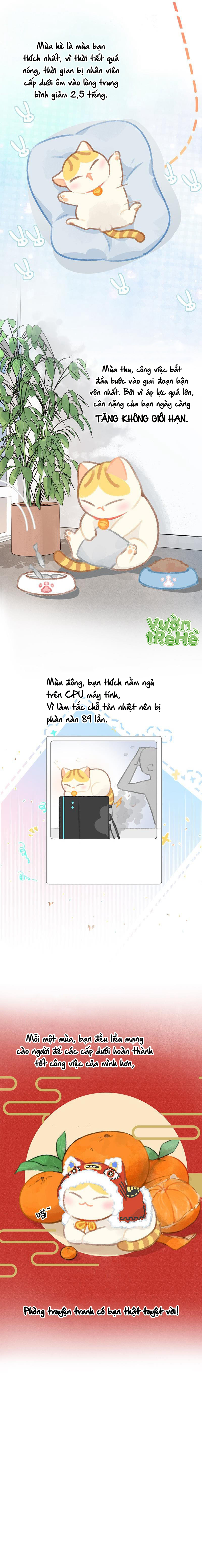 Lục Lạc Mèo Chapter 21 - Trang 2