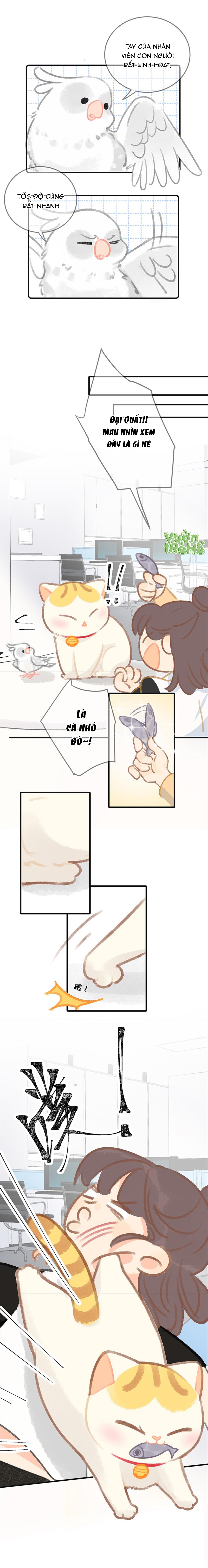 Lục Lạc Mèo Chapter 32 - Trang 2