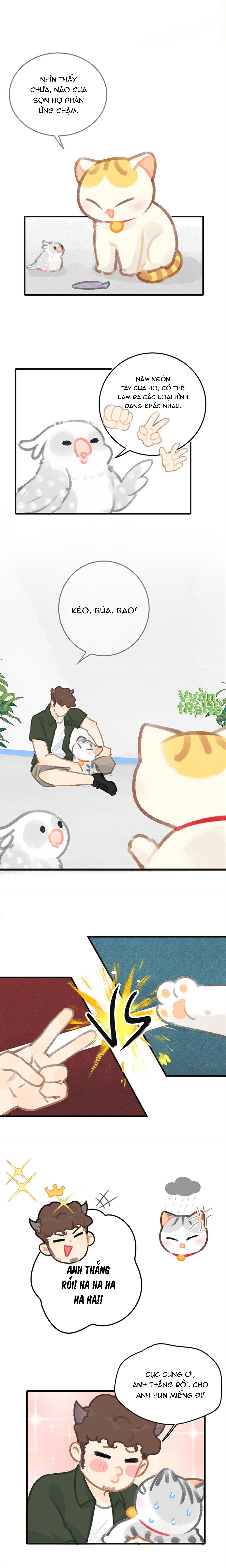 Lục Lạc Mèo Chapter 32 - Trang 2