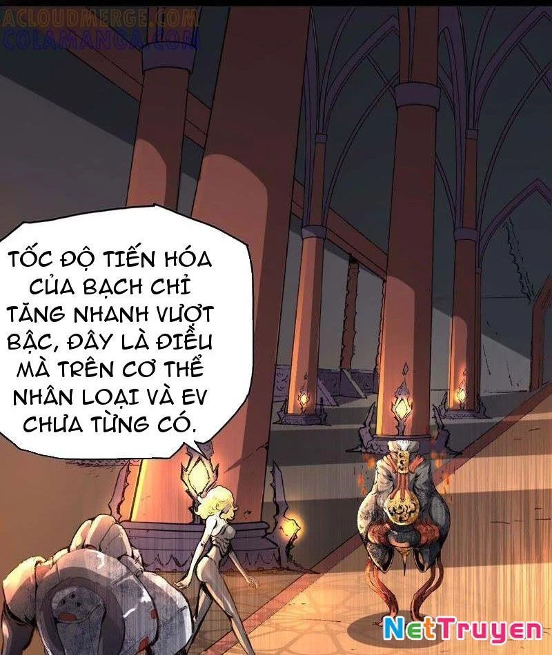 Vô Hạn Dị Hóa: Chiến Tranh Hệ Nhị Phân Chapter 19 - Trang 2