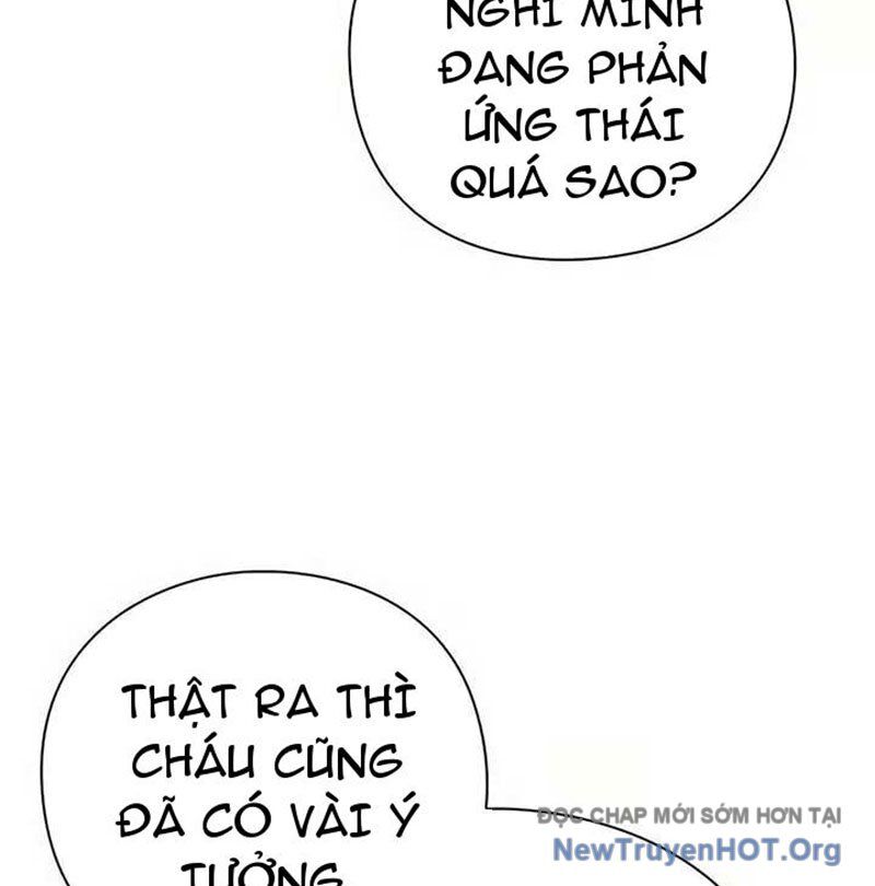 Người Giám Định Cổ Vật Chapter 43 - Trang 2