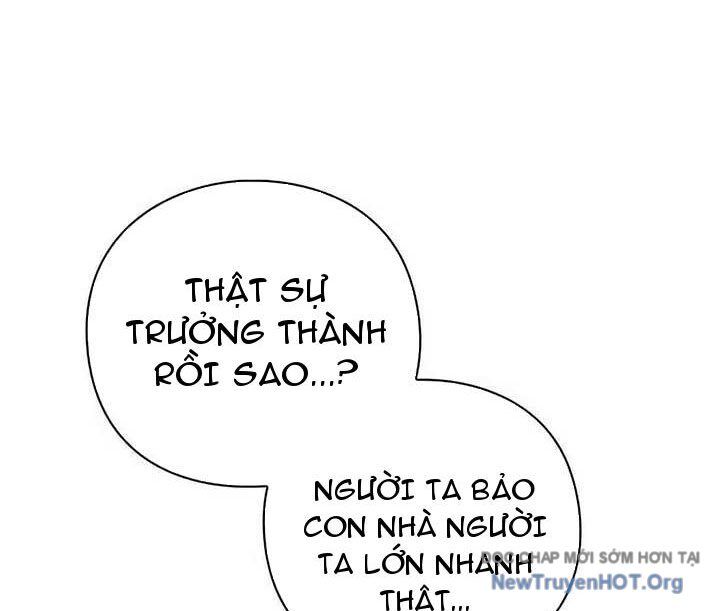 Người Giám Định Cổ Vật Chapter 44 - Trang 2