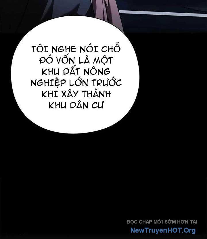 Người Giám Định Cổ Vật Chapter 45 - Trang 2