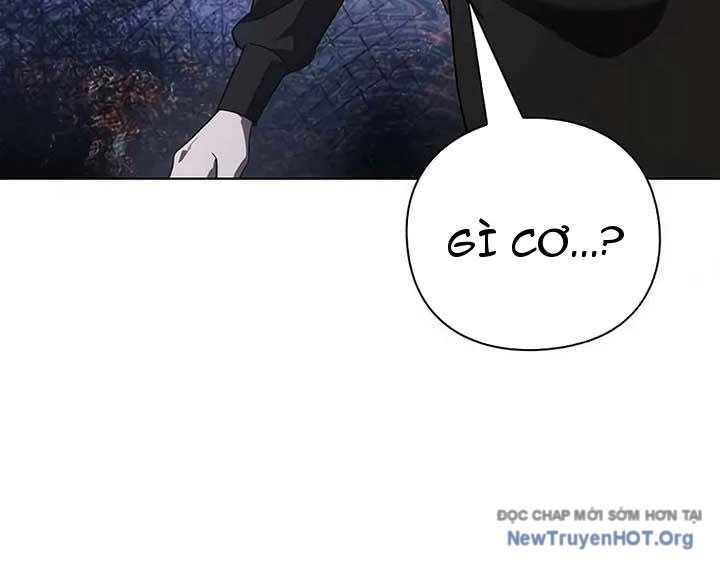 Người Giám Định Cổ Vật Chapter 45 - Trang 2