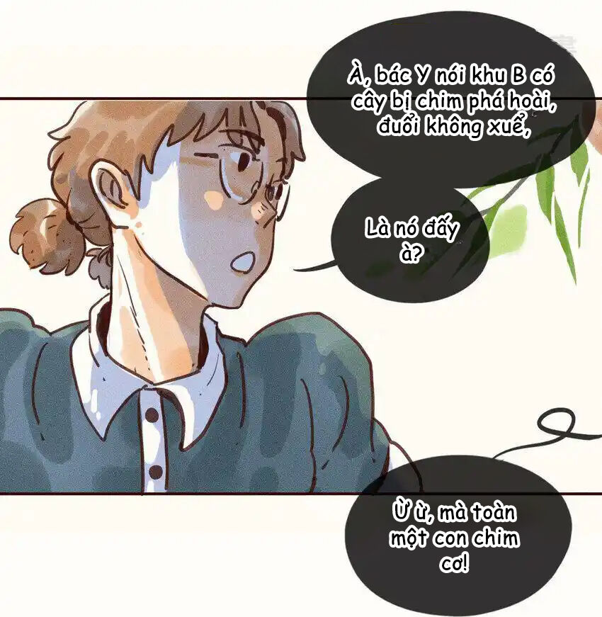 Cô Gái Thân Yêu Của Tôi Chapter 1 - Trang 2
