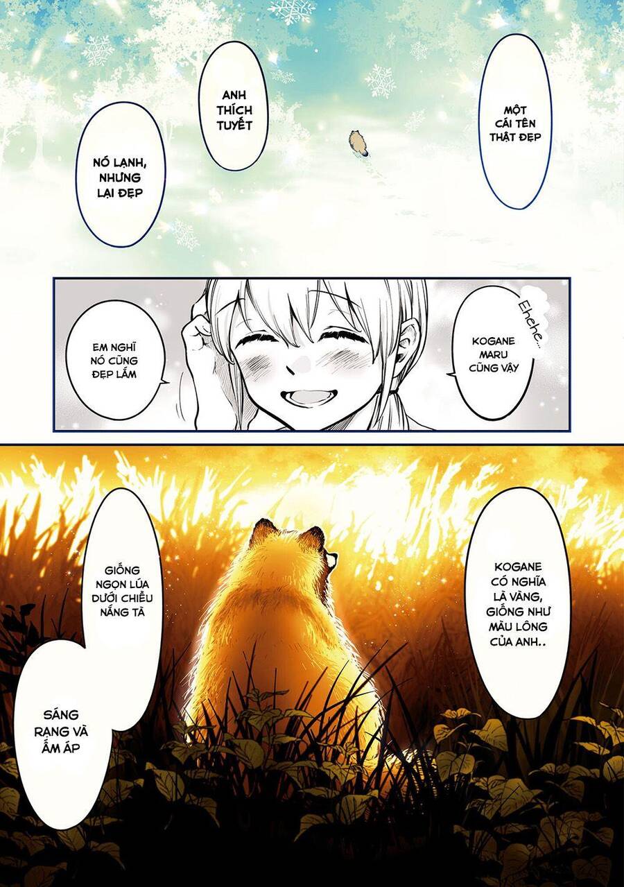 Này, Có Muốn Làm Tanuki Không? Chapter 14 - Trang 2