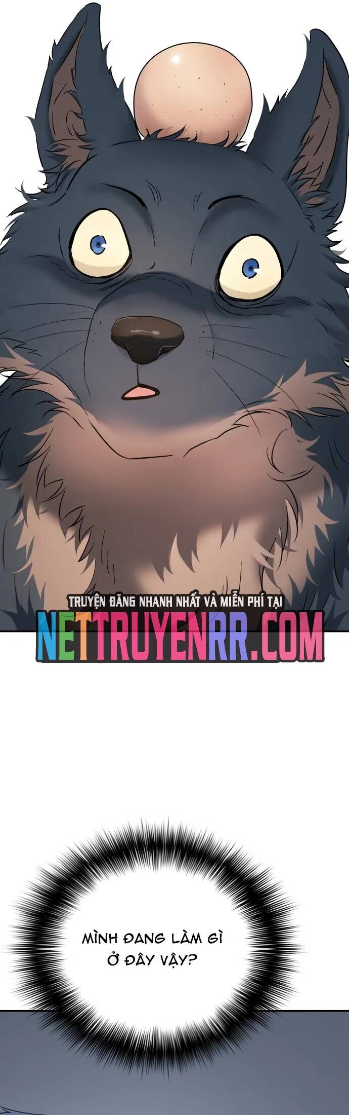 Lời Nguyền Của Dangun Chapter 69 - Trang 2