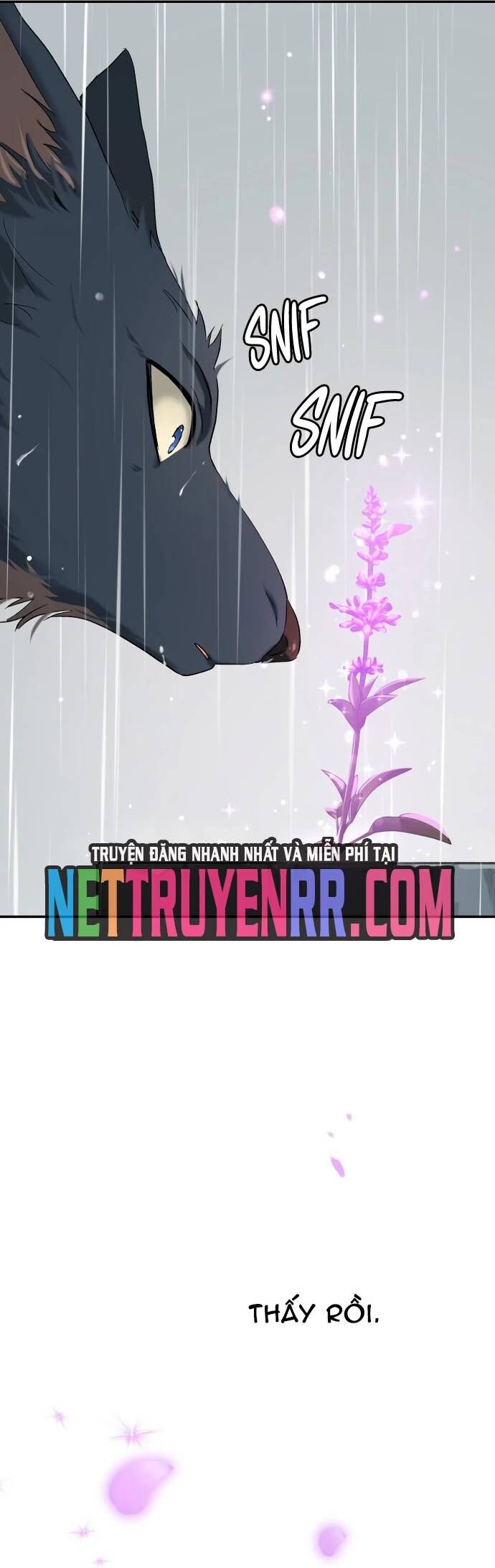 Lời Nguyền Của Dangun Chapter 69 - Trang 2