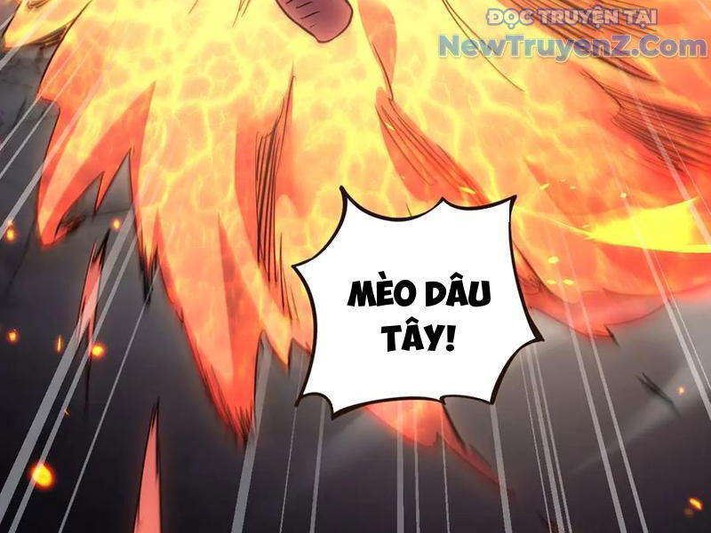 Ngự Thú: Ta Có Thế Thấy Toàn Bộ Chi Tiết Tiến Hóa Chapter 22 - Trang 2