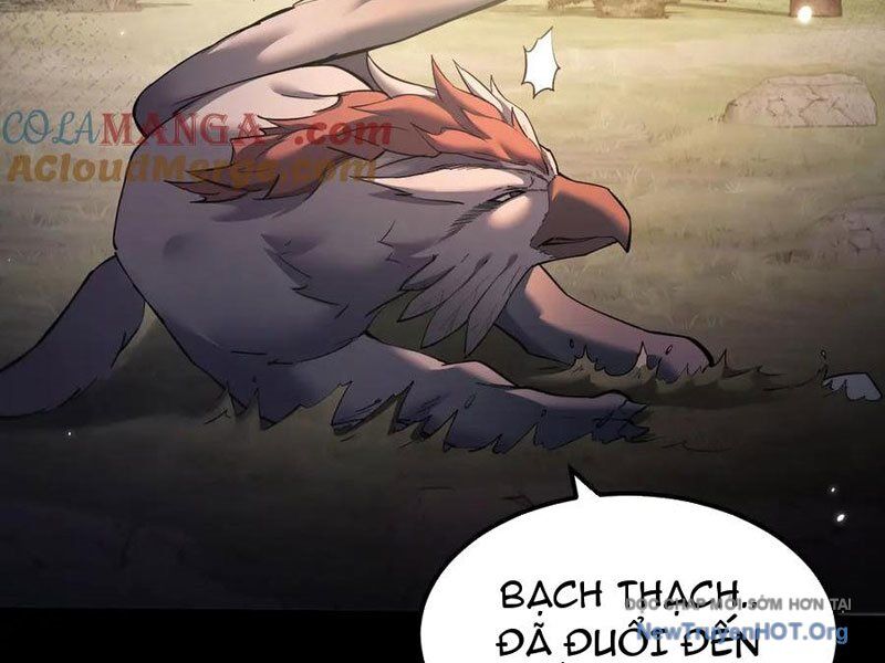 Ngự Thú: Ta Có Thế Thấy Toàn Bộ Chi Tiết Tiến Hóa Chapter 24 - Trang 2