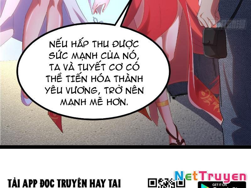 Diệt Yêu Trảm Thần Bắt Đầu Từ Hoang Đảo Chapter 5 - Trang 2