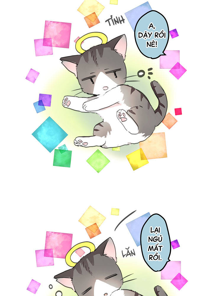 Monochrome Lovers Chapter 54.5 - Trang 2