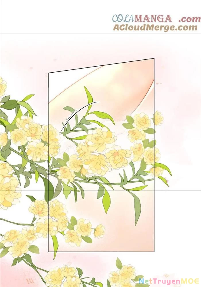Em Chỉ Có Thể Là Của Tôi Chapter 131 - Trang 2