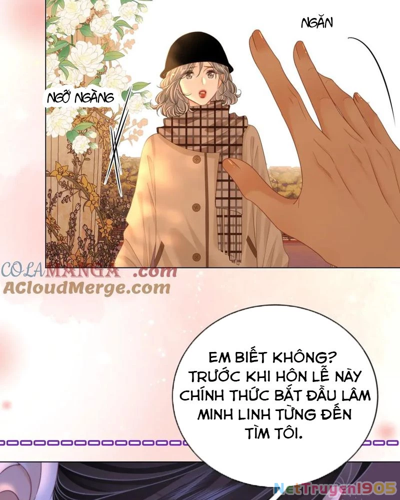 Em Chỉ Có Thể Là Của Tôi Chapter 147 - Trang 2