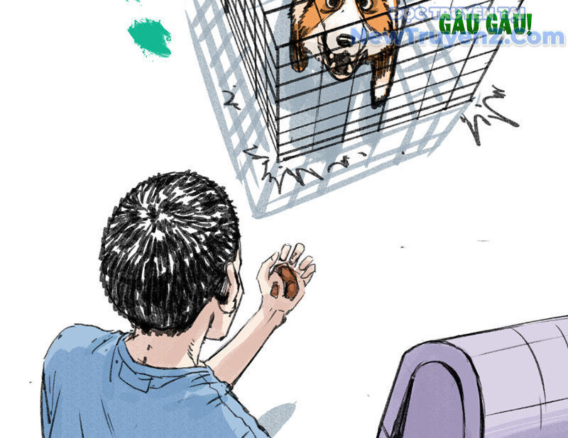 Quỷ Bộ Nhân Gian Chapter 7 - Trang 2