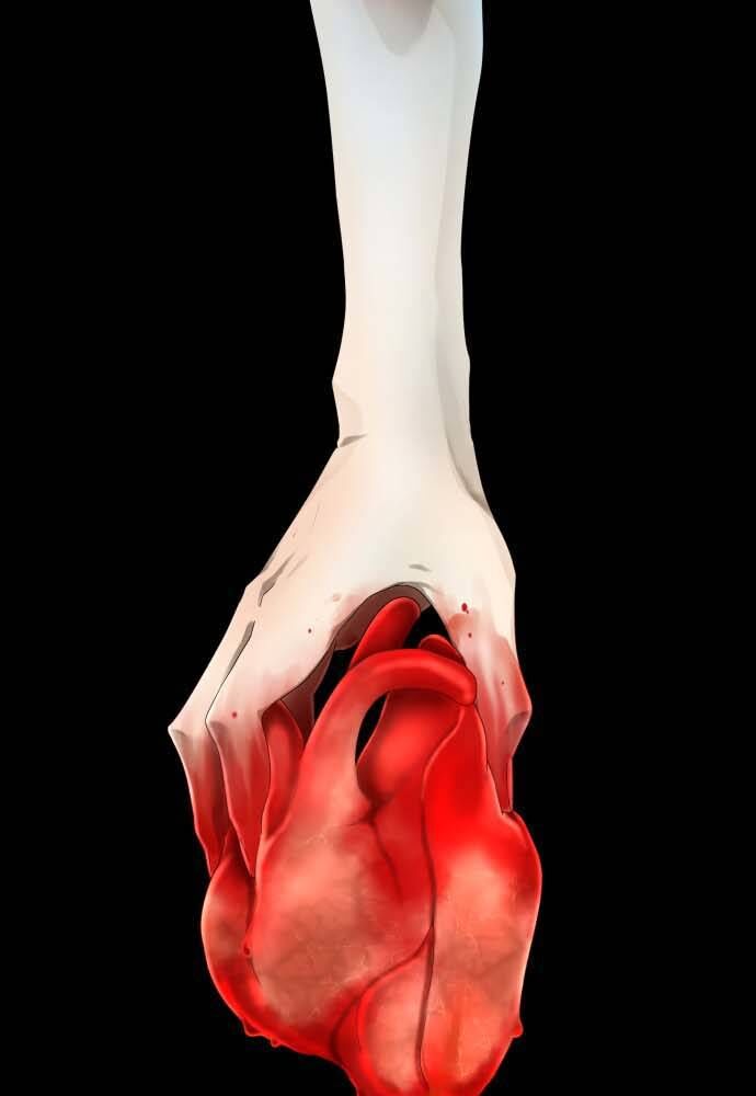 Trái Tim Của Luce Chapter 1 - Trang 2