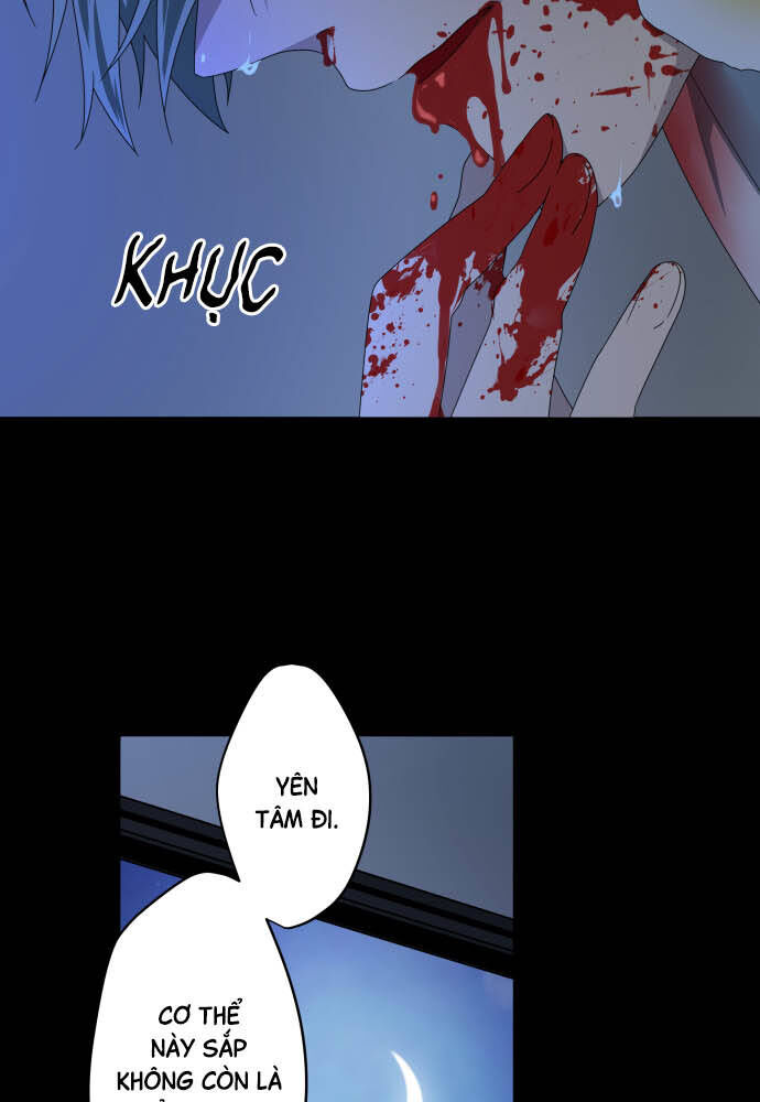 Trái Tim Của Luce Chapter 23 - Trang 2