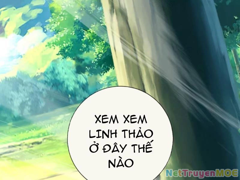 Khắc Đan Tu Tiên Cầu Trường Sinh Chapter 68 - Trang 2
