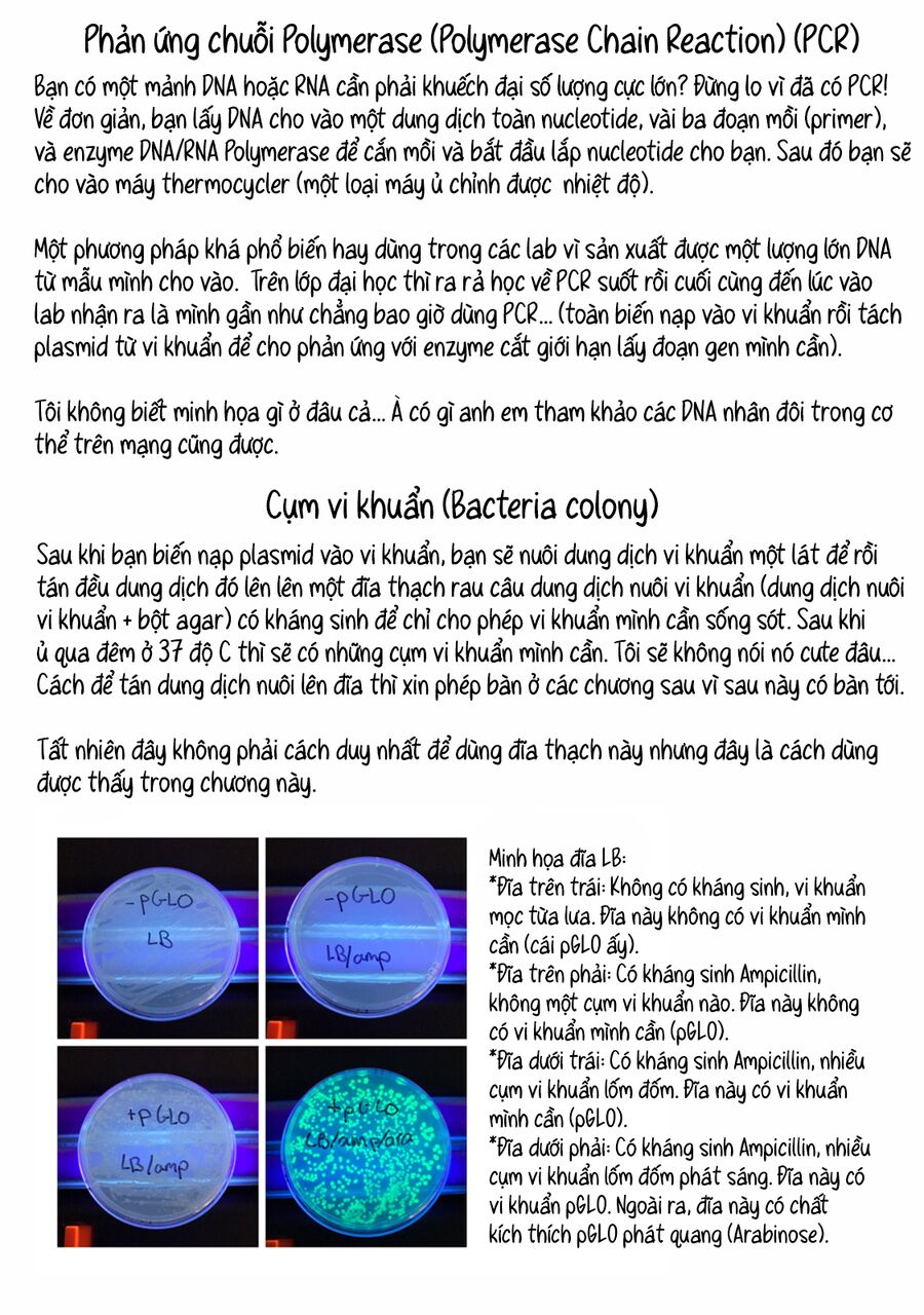 Lalalab☆ ~Gyaru, Khoa Học, Và Thanh Xuân!~ Chapter 4 - Trang 2