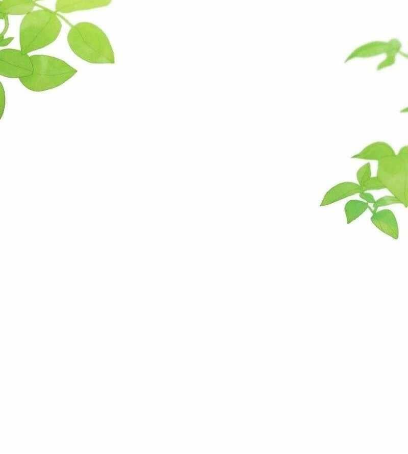 Chiến Thần Xuất Thế Chapter 10 - Trang 2
