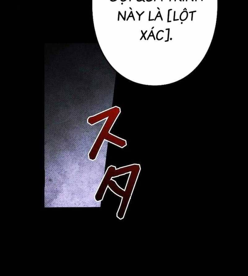 Chiến Thần Xuất Thế Chapter 10 - Trang 2
